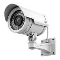 انظمة مراقبة و حماية فى سويسرا