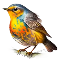 طيور و عصافير للبيع في سويسرا : أفضل الأسعار