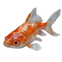 اسماك زينة وأحياء مائية للبيع في سويسرا