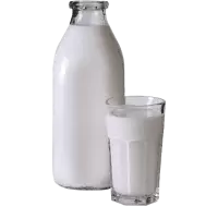 البان و اجبان فى سويسرا