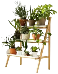 مشتل نباتات فى سويسرا