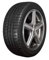 جنط مع كوشوك فى سويسرا