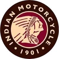 انديان فى سويسرا