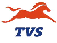 تي في اس TVS فى سويسرا