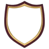 شعارات وهويات بصرية فى سويسرا