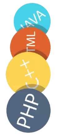 لغات البرمجة فى سويسرا