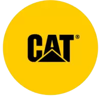 كات فى سويسرا