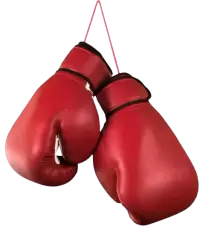 تجهيزات أخرى فى سويسرا