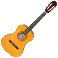 جيتار - عود للبيع في سويسرا