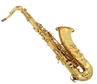 آلات نفخ موسيقية للبيع في سويسرا